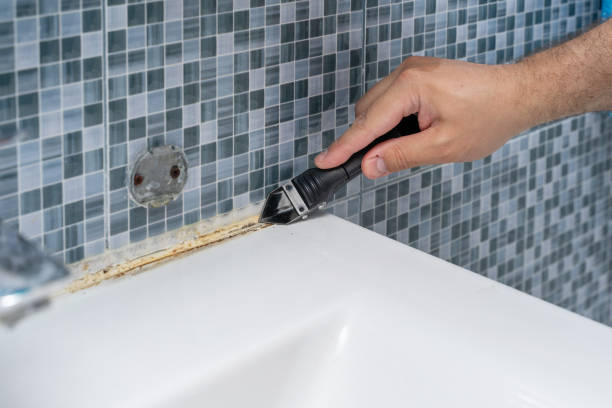 Best Mold Remediation Experts  in Boyce, LA
