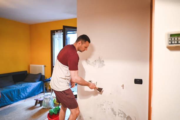 Mold Removal and Inspection in Boyce, LA